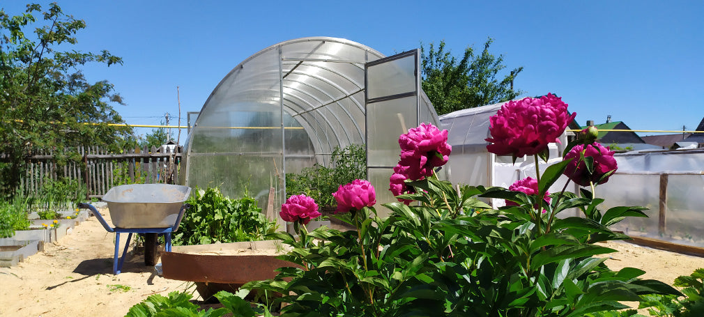 Garden greenhouse
