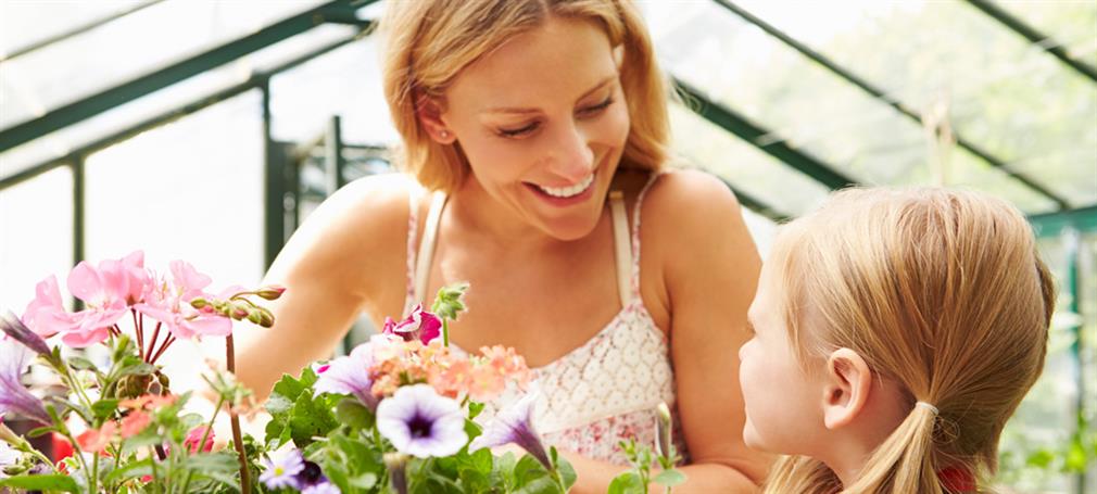 DIY-greenhouse or a professional easy-to-assemble kit