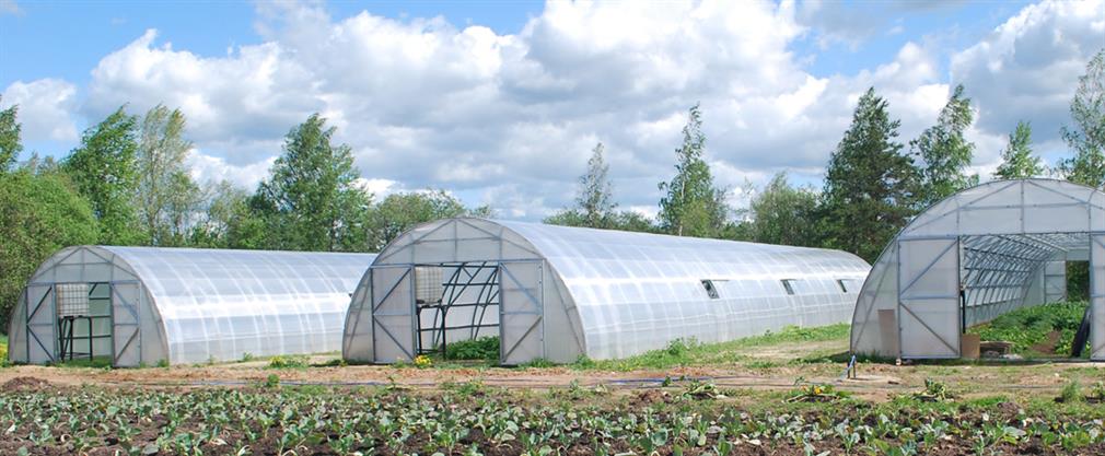 What to consider before buying a greenhouse?