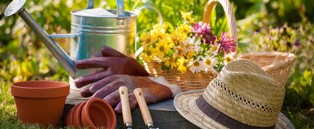 How to find the right spot for the new greenhouse