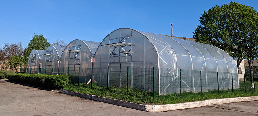 Plastic Greenhouse