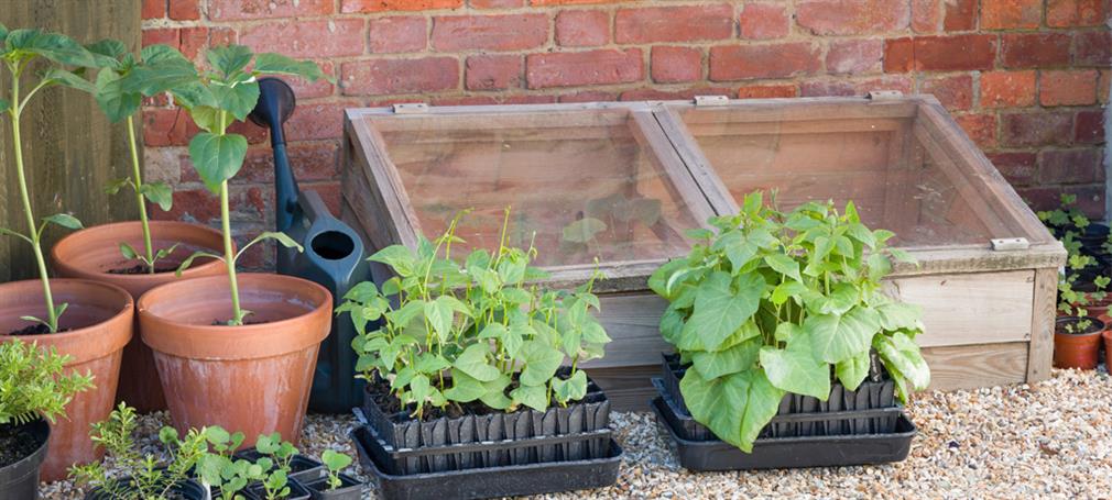 Mini greenhouses