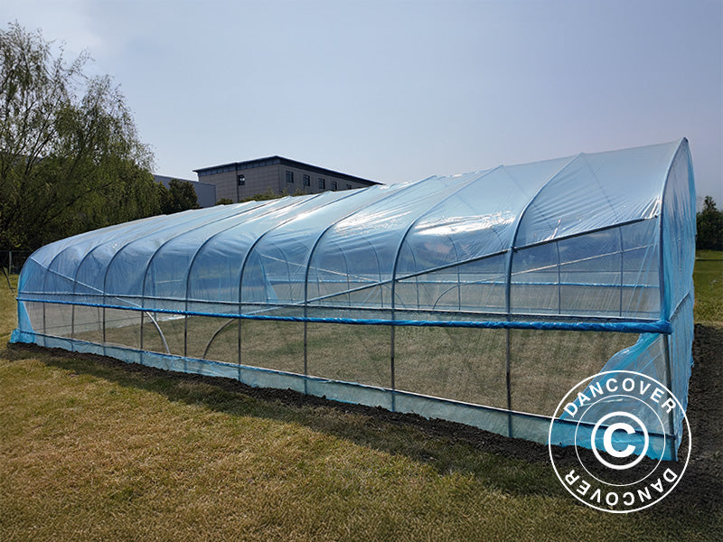 Polytunnel Greenhouse, 6x10x2.5 m, 100-micron PO Film, Transparent