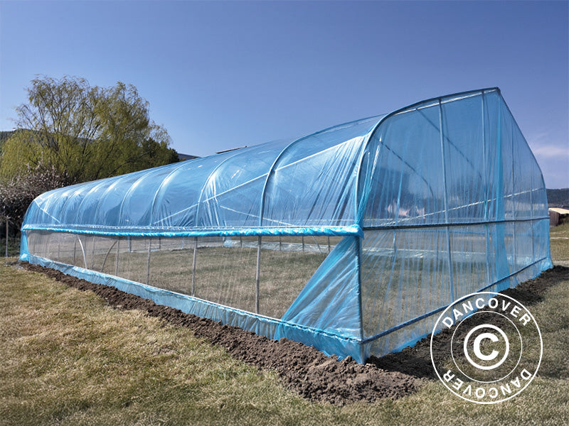 Polytunnel Greenhouse, 6x20x2,5m, 100-micron PO Film, Transparent