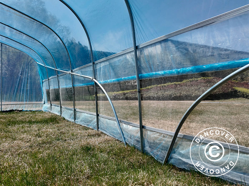 Polytunnel Greenhouse, 6x20x2,5m, 100-micron PO Film, Transparent