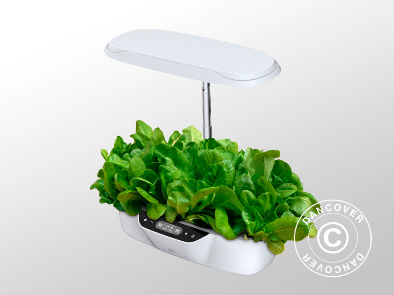 https://test.us2you.com/product-images/GH222001_01.jpg