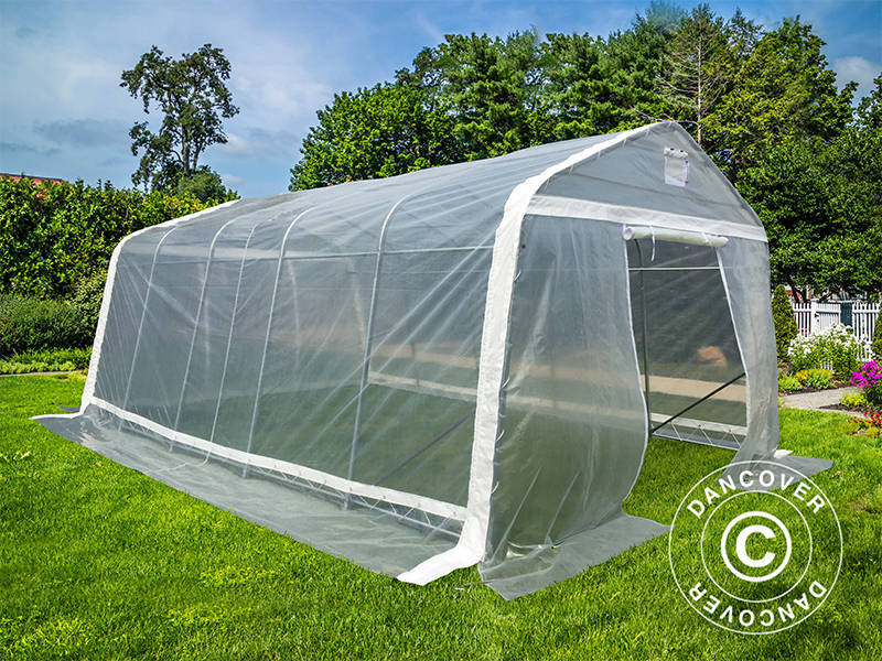 Polytunnel greenhouse, 3.6x6x2.68 m, PE, 21.6 m², Transparent