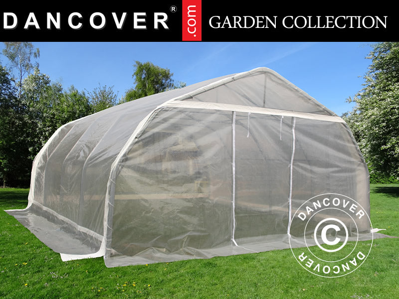 Polytunnel greenhouse, 5.4x6x2.9 m, PE, 32.4 m², Transparent