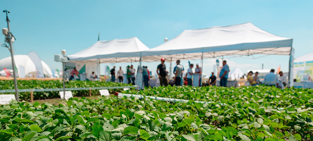 Easy Up Tents for Events, Markets and Outdoor Activities