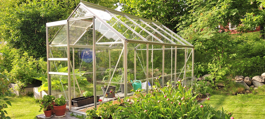 Glass greenhouse