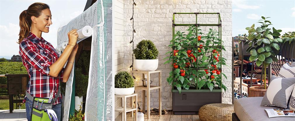 Small greenhouse and lean-to greenhouses