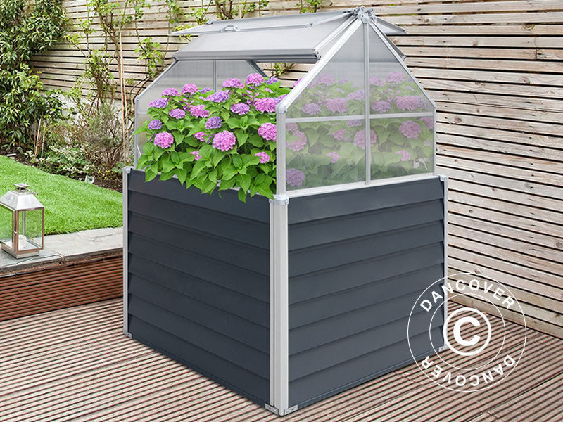 Mini Greenhouse 1.2x1.2x1.69 m, 1.44 m², Anthracite