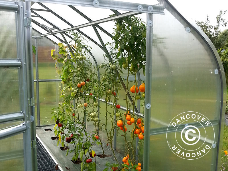 Greenhouse polycarbonate TITAN Dome 320, 25 m², 2.5x10 m, Silver