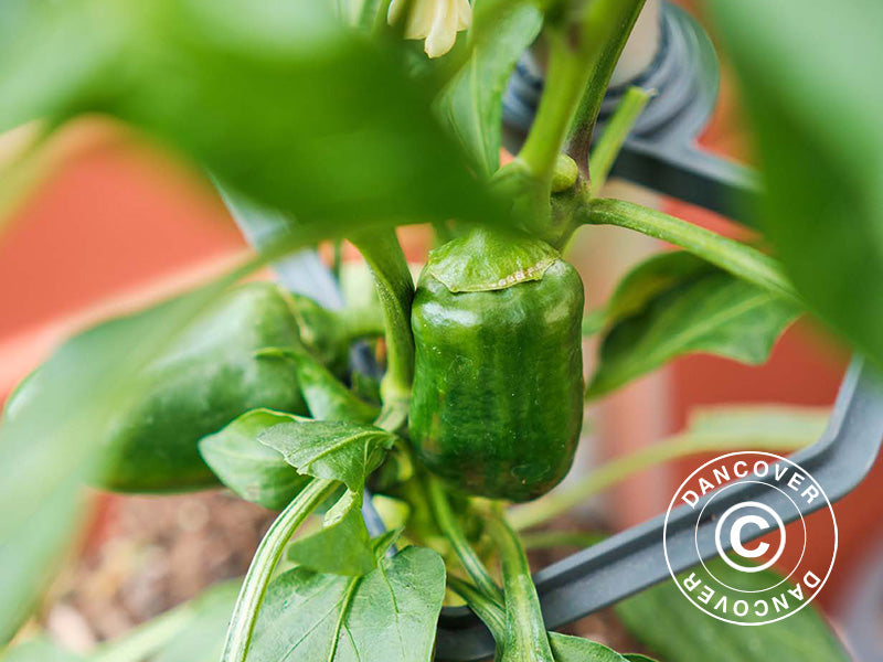 Climbing support, CHILI BUDDY, Anthracite/Silver