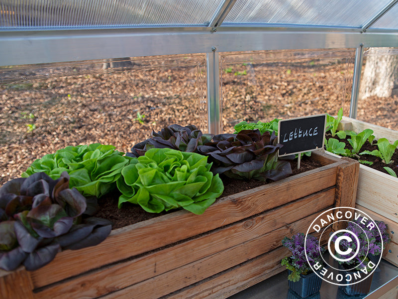 Greenhouse polycarbonate Balance 11.8 m², Palram/Canopia, 2.44x4.87x2.29 m, Silver