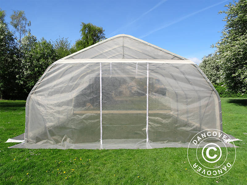 Polytunnel greenhouse, 5.4x6x2.9 m, PE, 32.4 m², Transparent