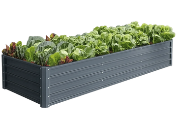 Plant Boxes