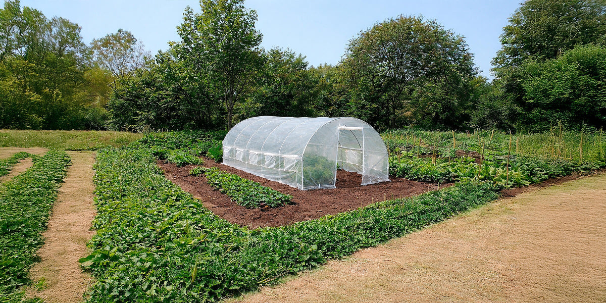 Polytunnel greenhouses